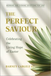 The Perfect Saviour